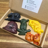 Eco Art & Craft
