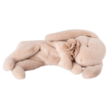 Maileg 3 Plus Sleeping Bunny Plush Small Powder