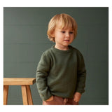 Nature Baby 6-12 Months to 4 Merino Knit Pullover - Thyme