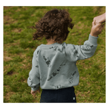 Nature Baby 6-12 Months to 5 Years Emerson Sweater - Raccoon Rhapsody