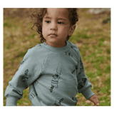 Nature Baby 6-12 Months to 5 Years Emerson Sweater - Raccoon Rhapsody
