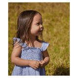 Nature Baby 6-12 Months to 5 Years Gala Dress Linen - Blue Stripe