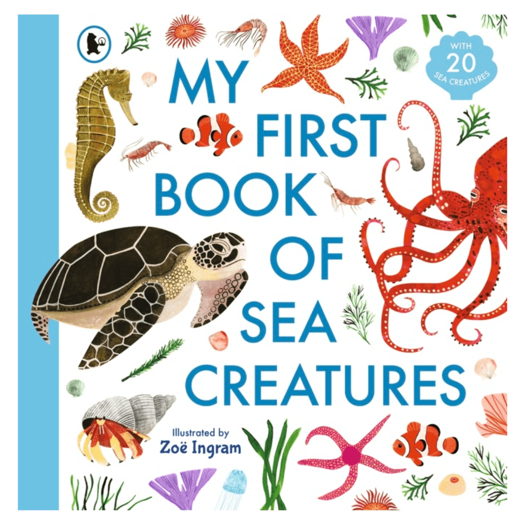 Walker Books 4 Plus My First Book of Sea Creatures - Zoë Ingram