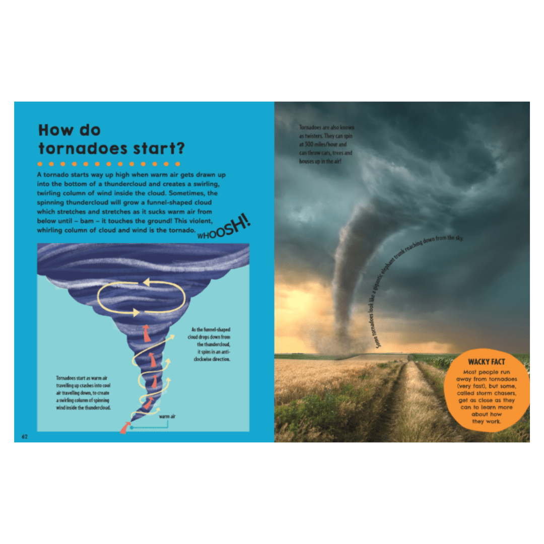 What on Earth Books 5 Plus First Big Book of How - Sally Syme, Kate Slater