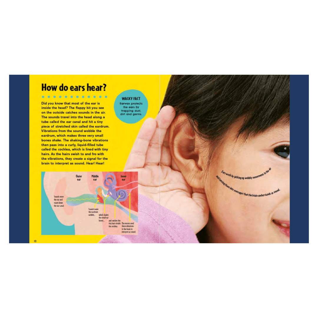 What on Earth Books 5 Plus First Big Book of How - Sally Syme, Kate Slater