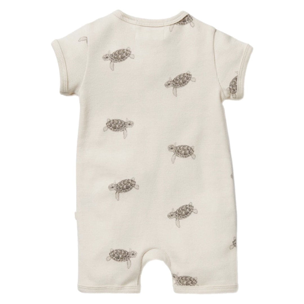 Wilson & Frenchy 0-3 Months to 12-18 Months Boyleg Zipsuit - Tiny Turtles