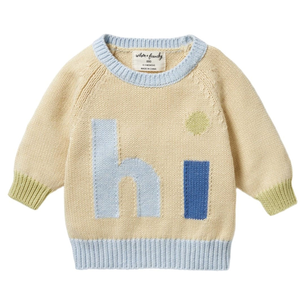 Wilson & Frenchy 0-3 Months to 18-24 Months Knitted Jacquard Jumper - Dew
