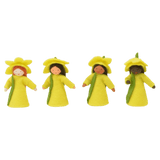 Ambrosius 3 Plus Flower Fairy - Daffodil