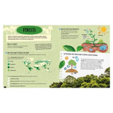 Sassi 6 Plus Ultimate Atlas: 500 Pc Puzzle, Book & Quiz Set - Earth