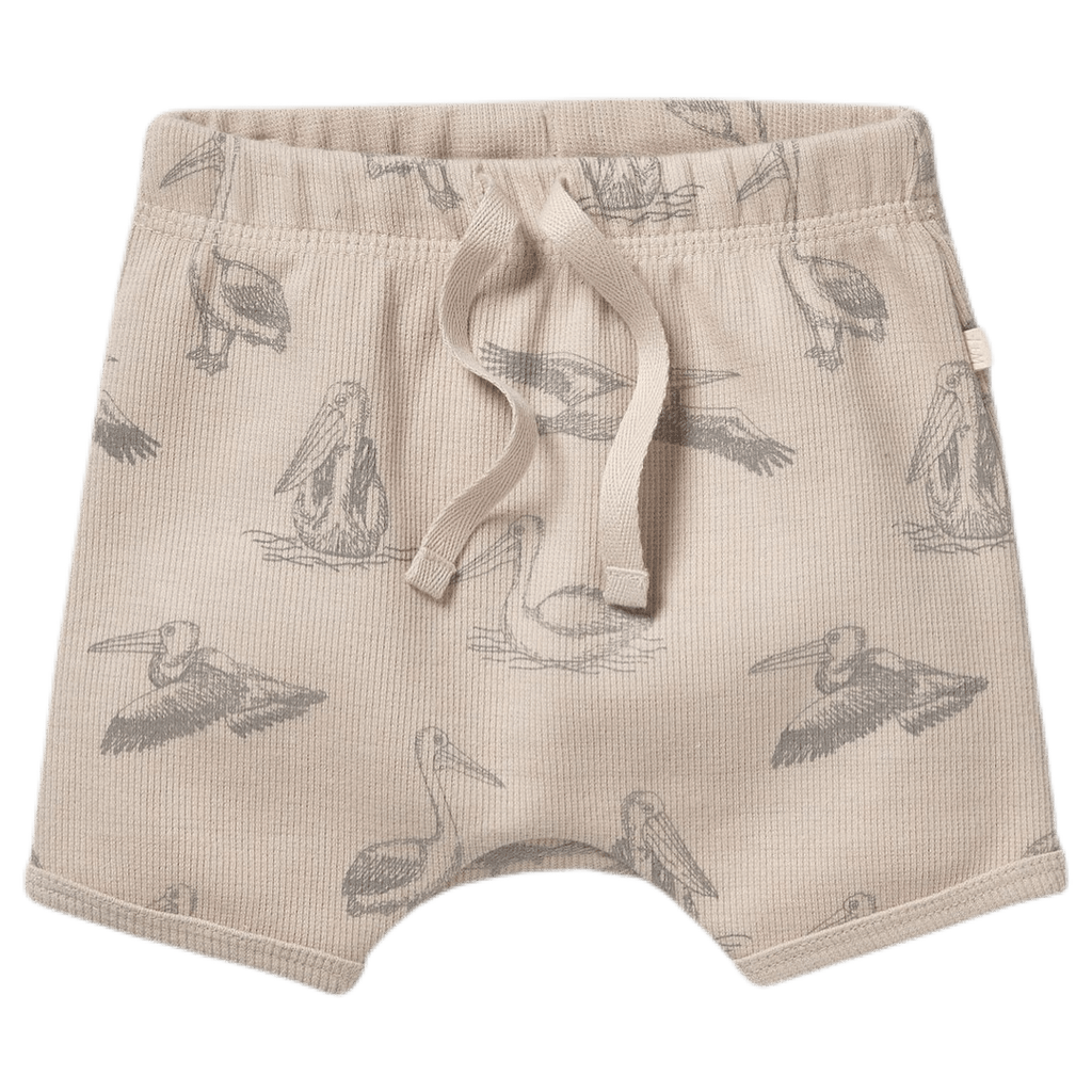 Wilson & Frenchy 6-12 Months to 18-24 Months Tie Front Rib Short - Little Pelican