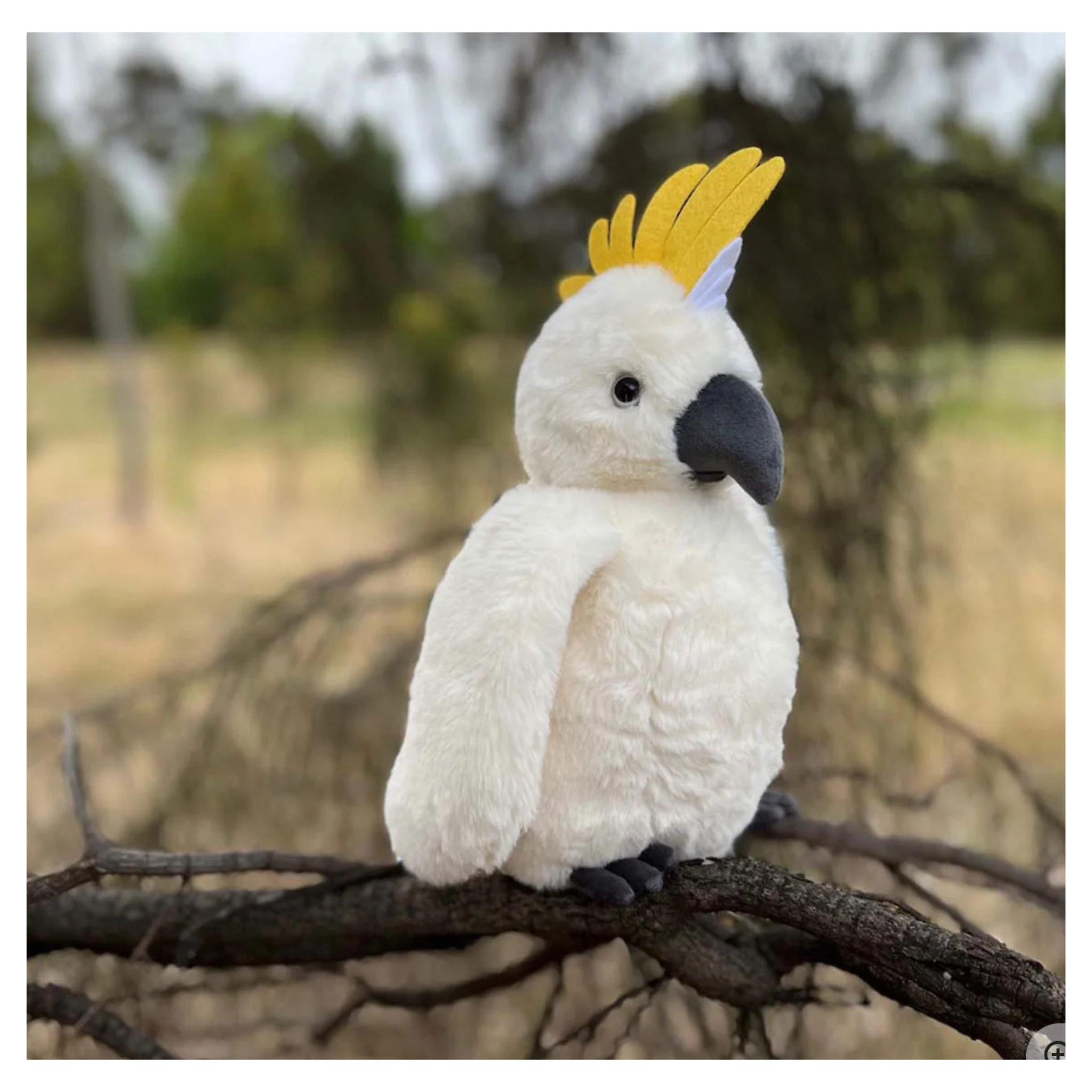 Furfolk - Cockatoo