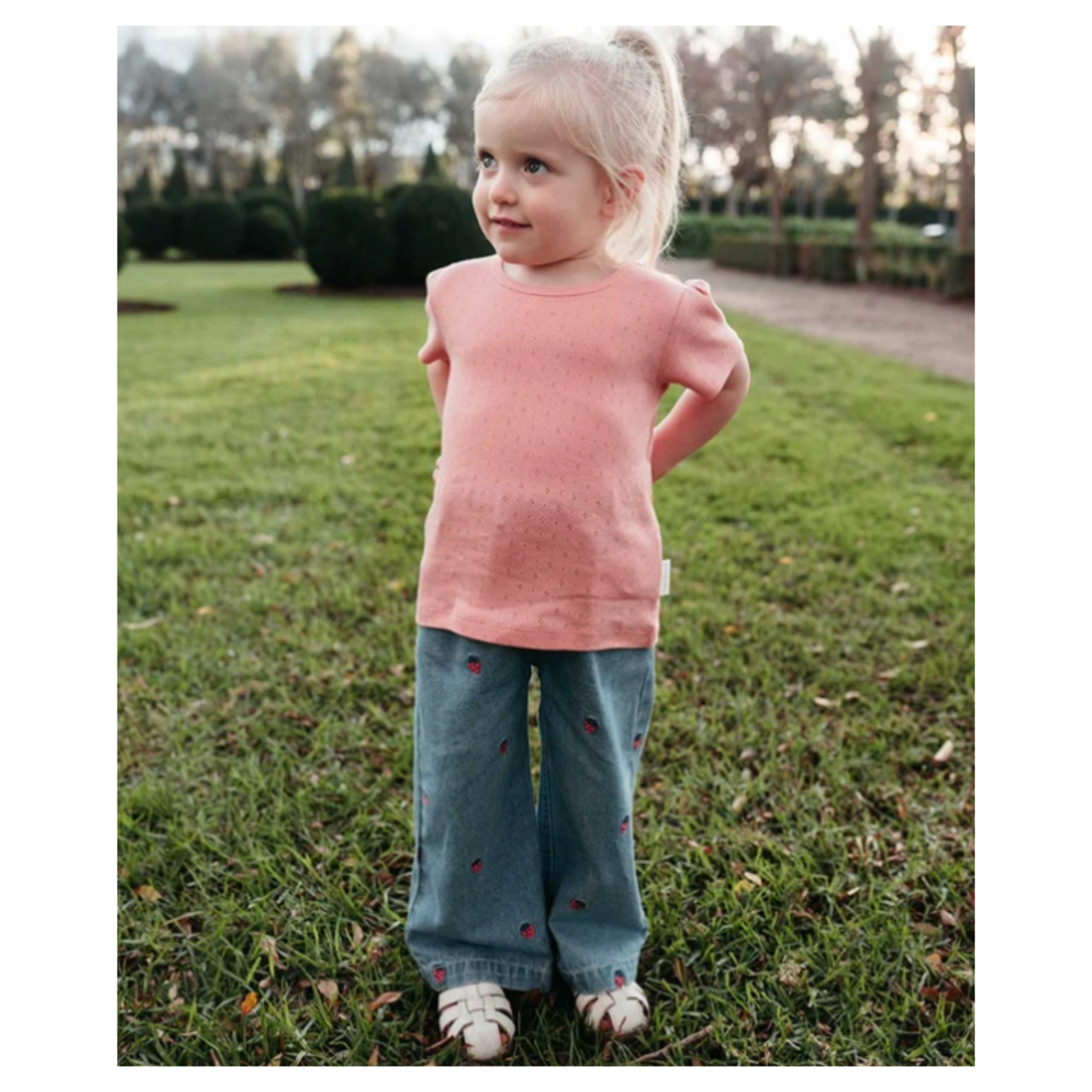 Pointelle Short Sleeve Tee - Peach