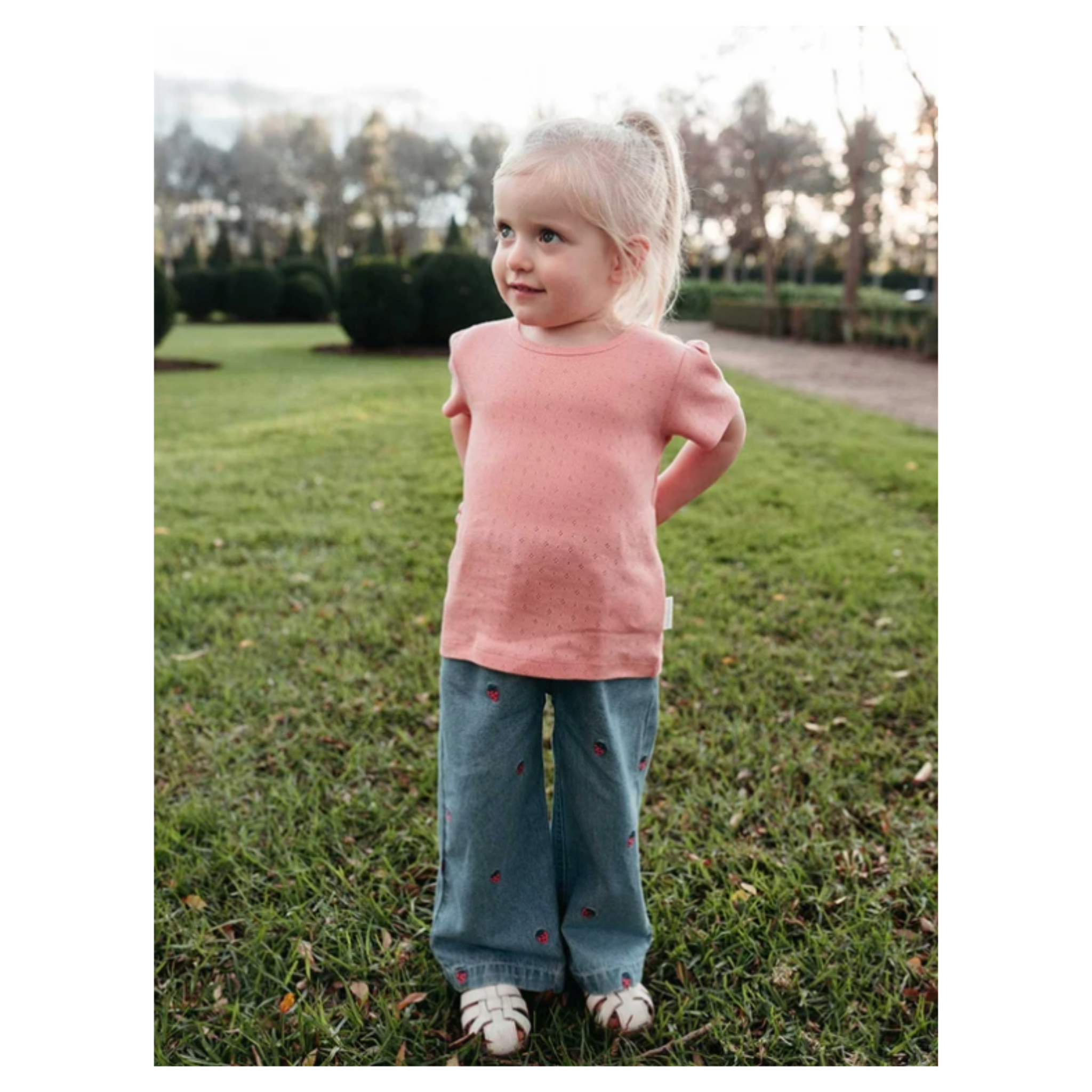 Embroidered Wide Leg Jeans - Large Strawberry Broderie