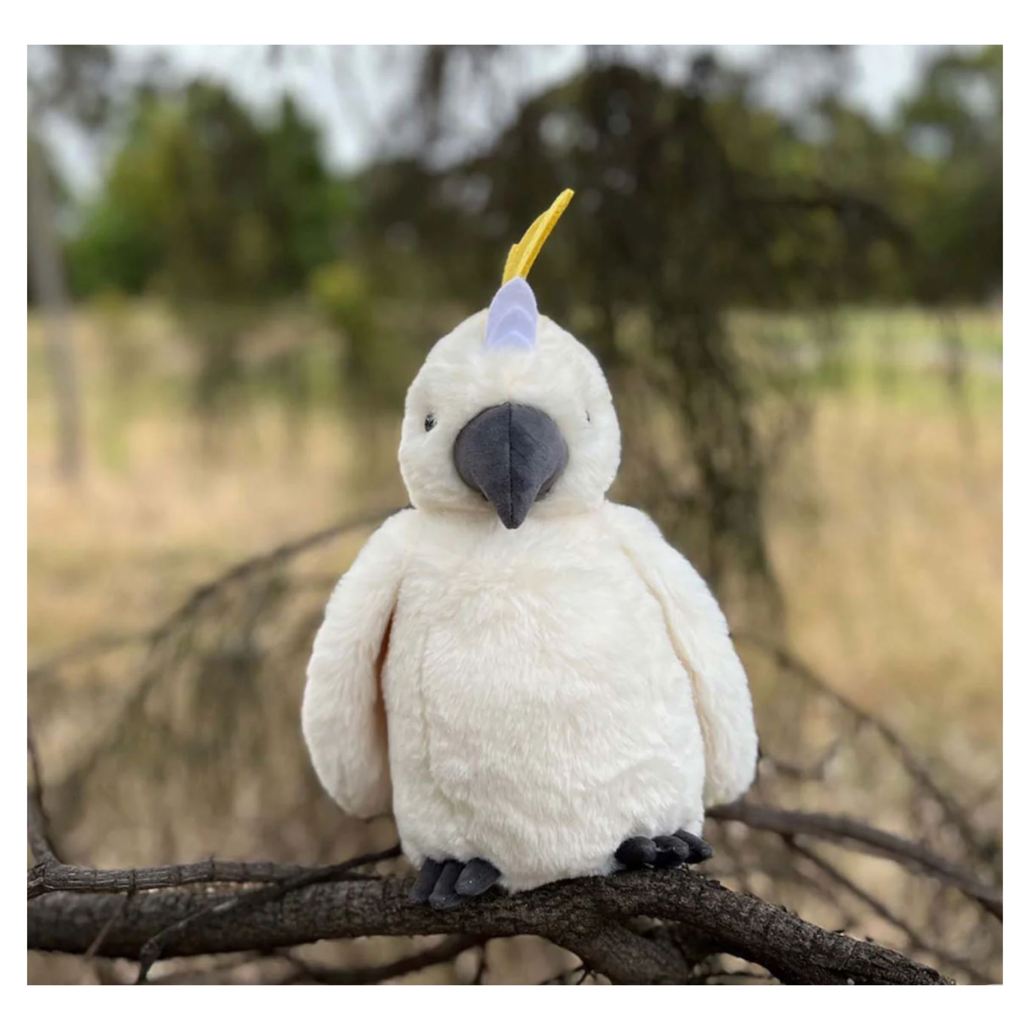 Furfolk - Cockatoo