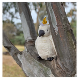 Furfolk - Cockatoo