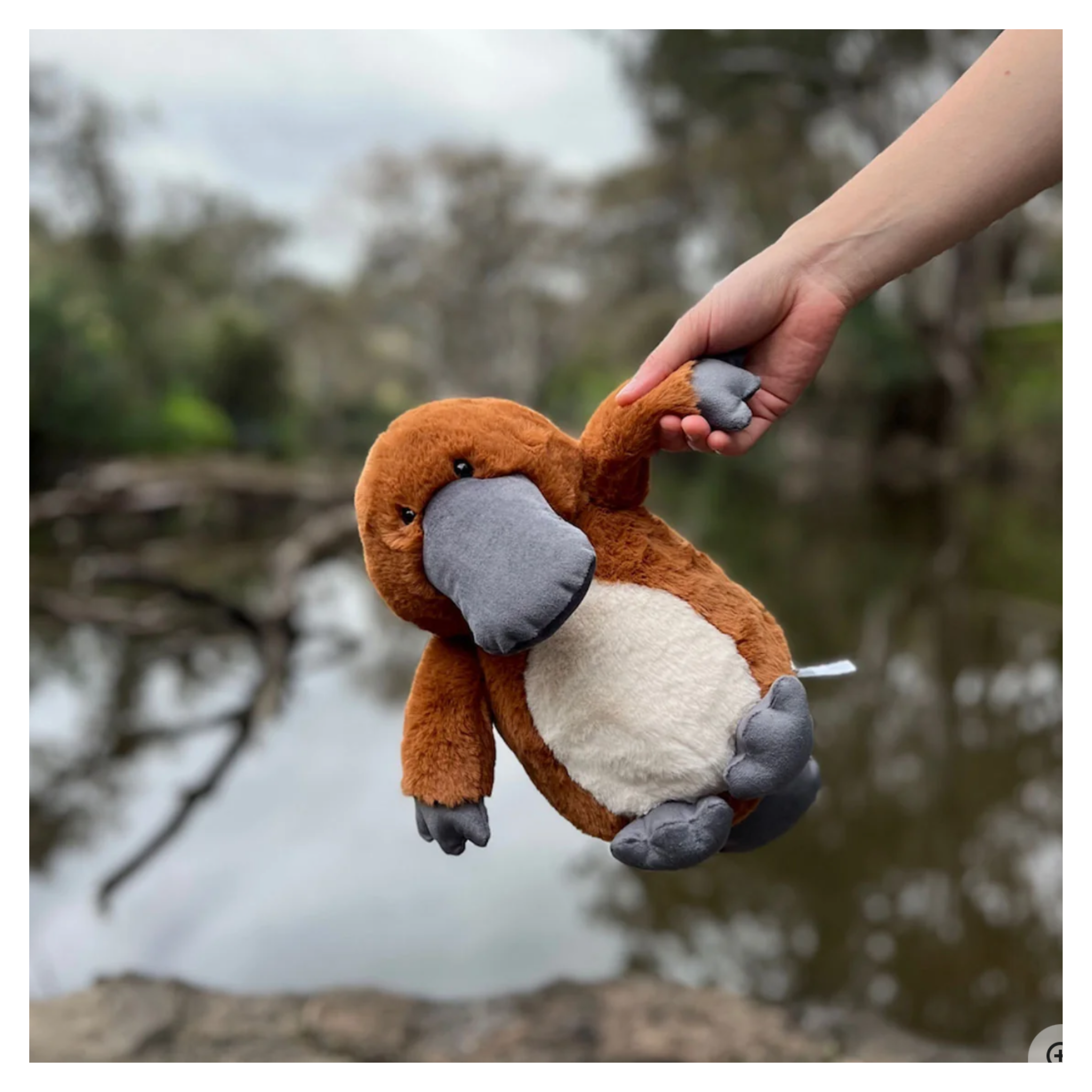 Furfolk - Platypus