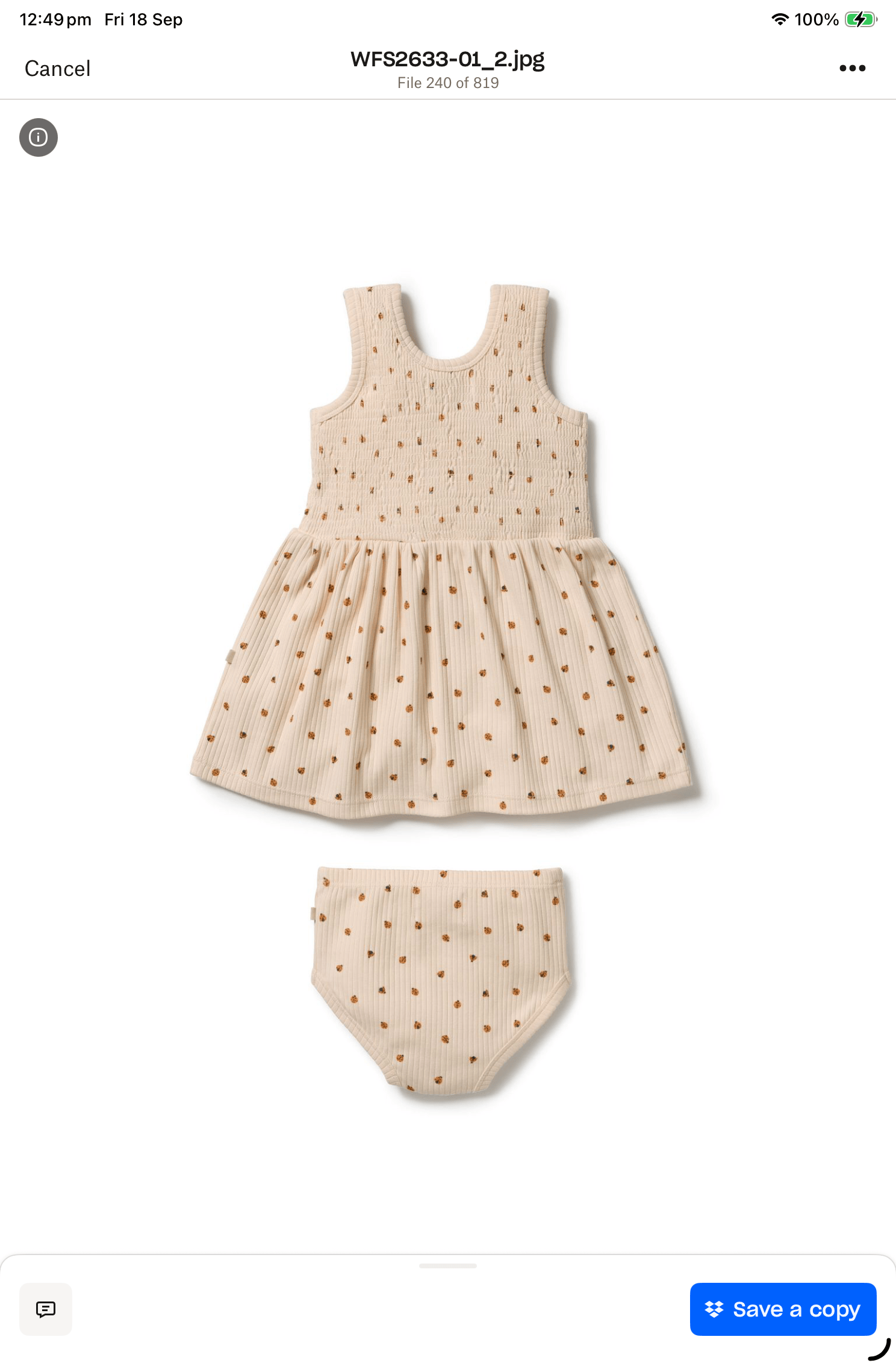 Dress Set - Little Lady Bugs