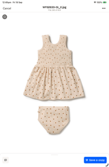 Dress Set - Little Lady Bugs