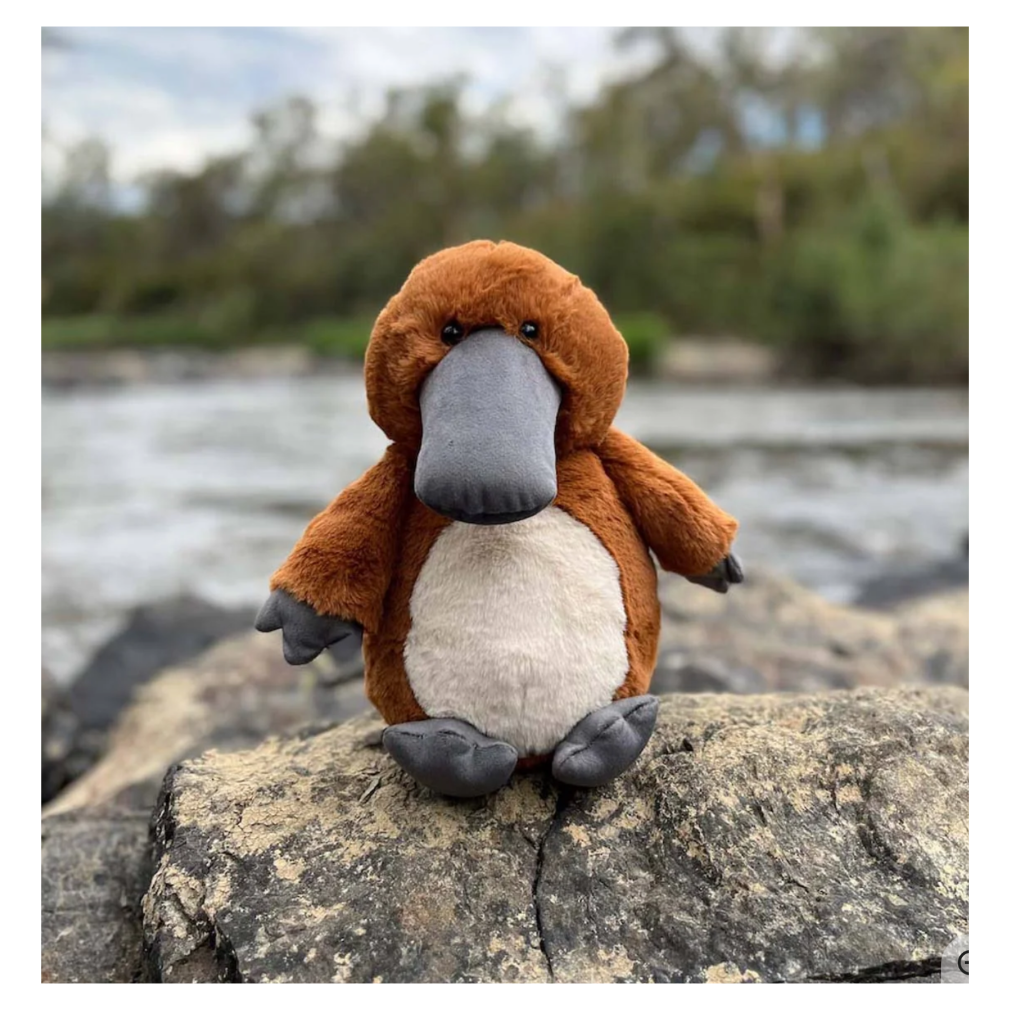 Furfolk - Platypus