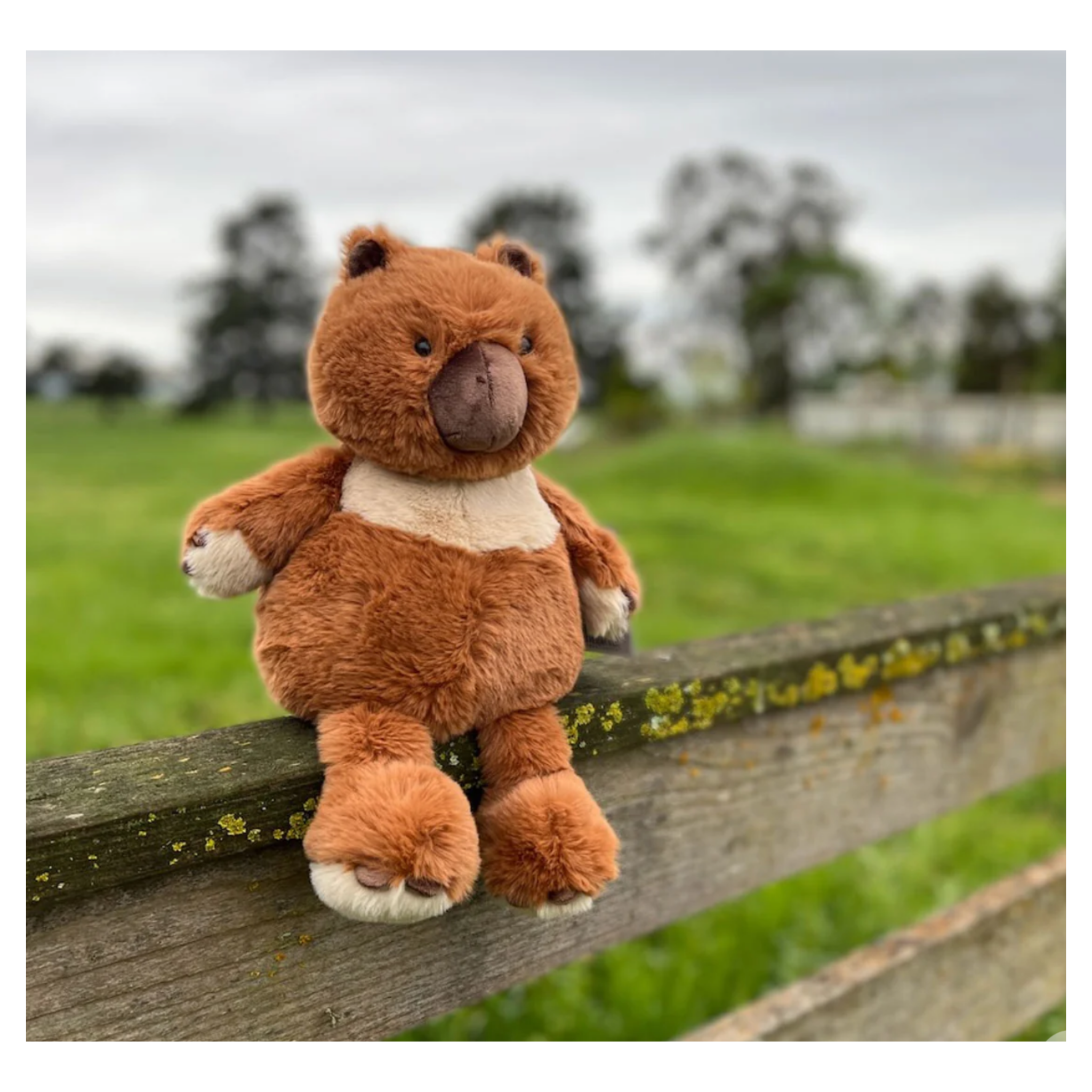 Furfolk - Wombat