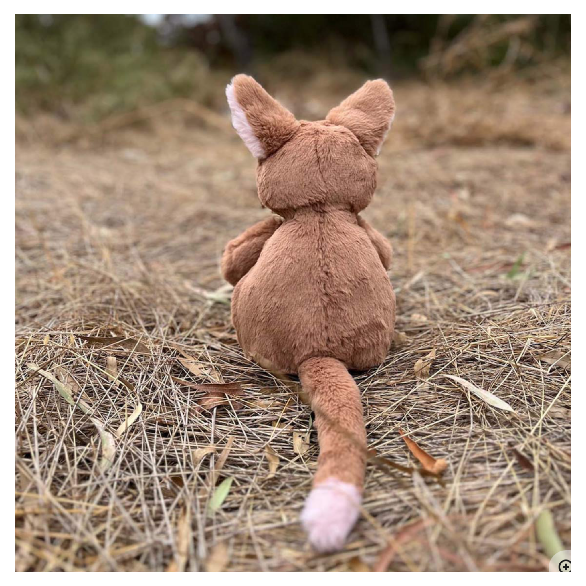 Furfolk - Kangaroo