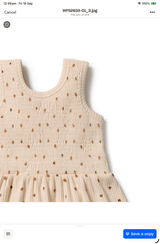 Dress Set - Little Lady Bugs
