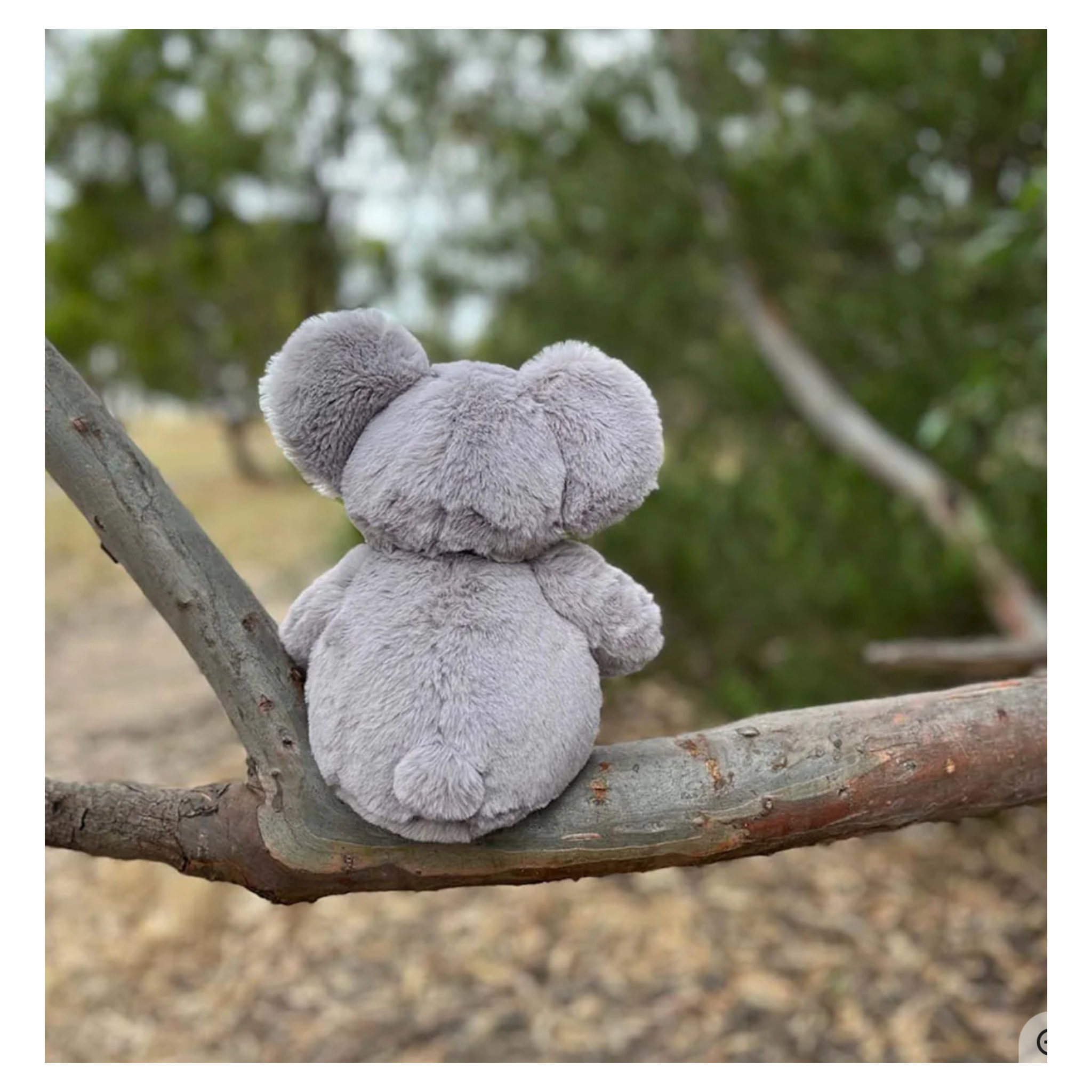 Furfolk - Koala