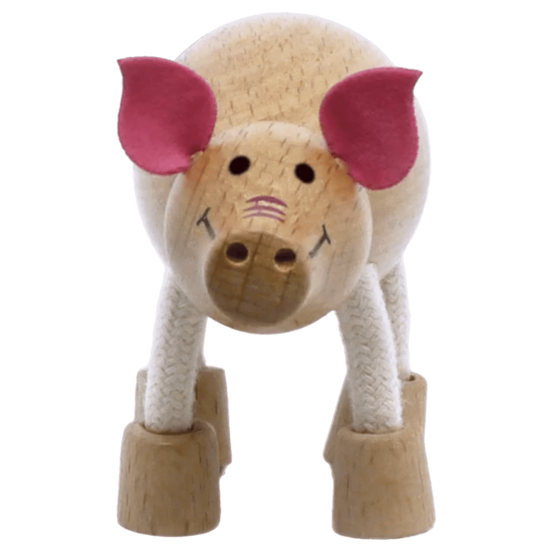 Anamalz 2 Plus Anamalz - Pig