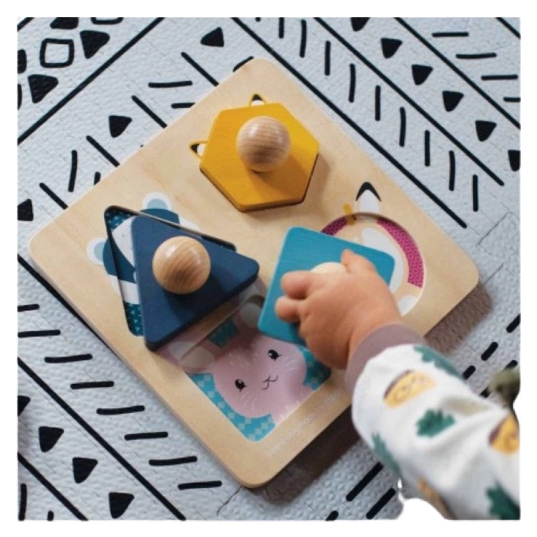 Bigjigs Toys 12 Mths Plus Animal Shape Puzzle