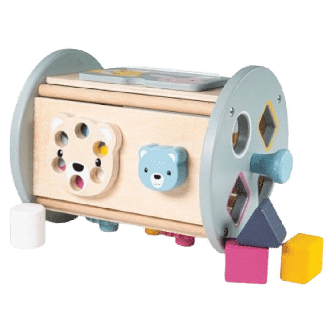 Bigjigs Toys 12 Mths Plus Rolling Activity Sorter