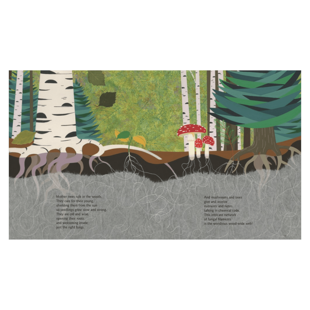 Candlewick Entertainment 4 Plus Cool Green:  Amazing Remarkable Tree - L Delacre