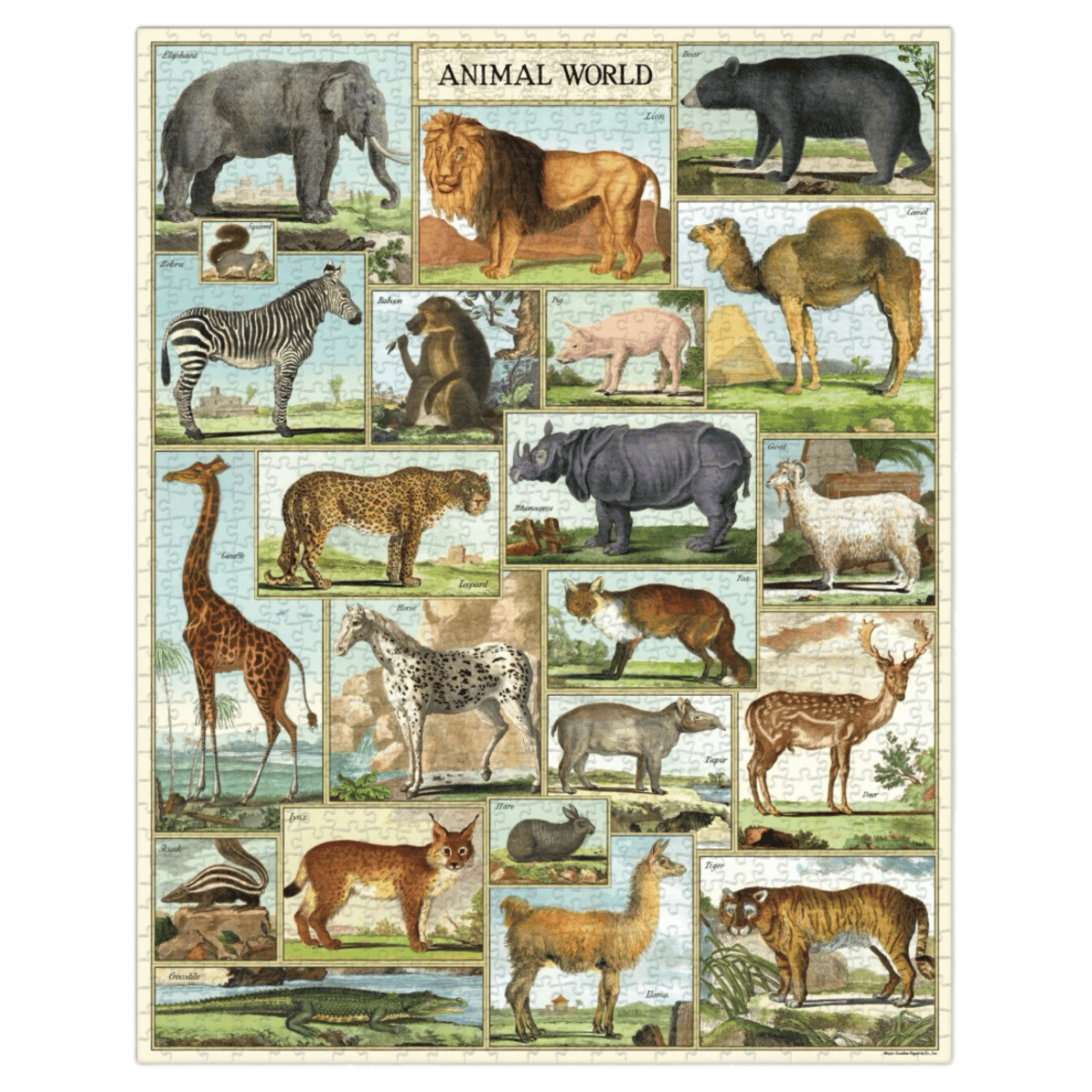 Cavallini & Co 12 Plus 1000 Pc Vintage Puzzle - Animal World