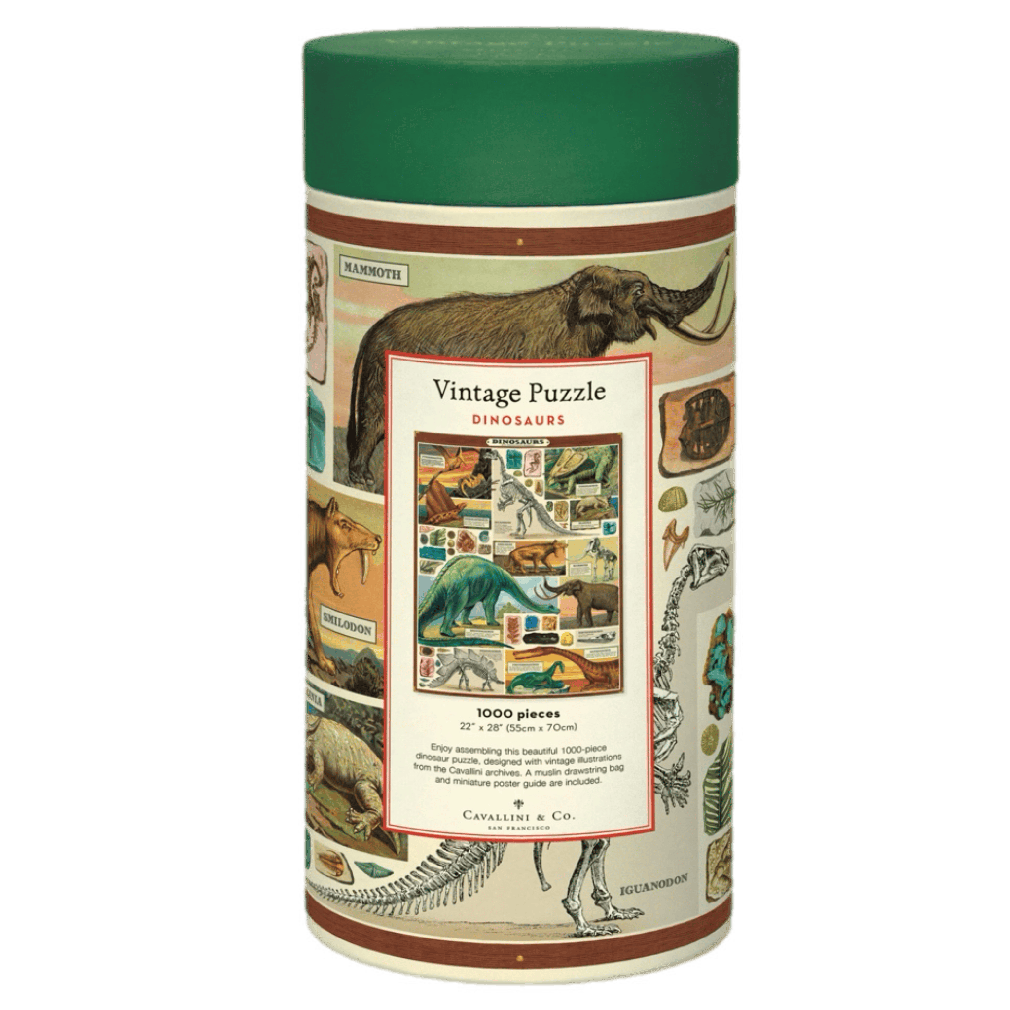 Cavallini & Co 12 Plus 1000 Pc Vintage Puzzle - Dinosaurs