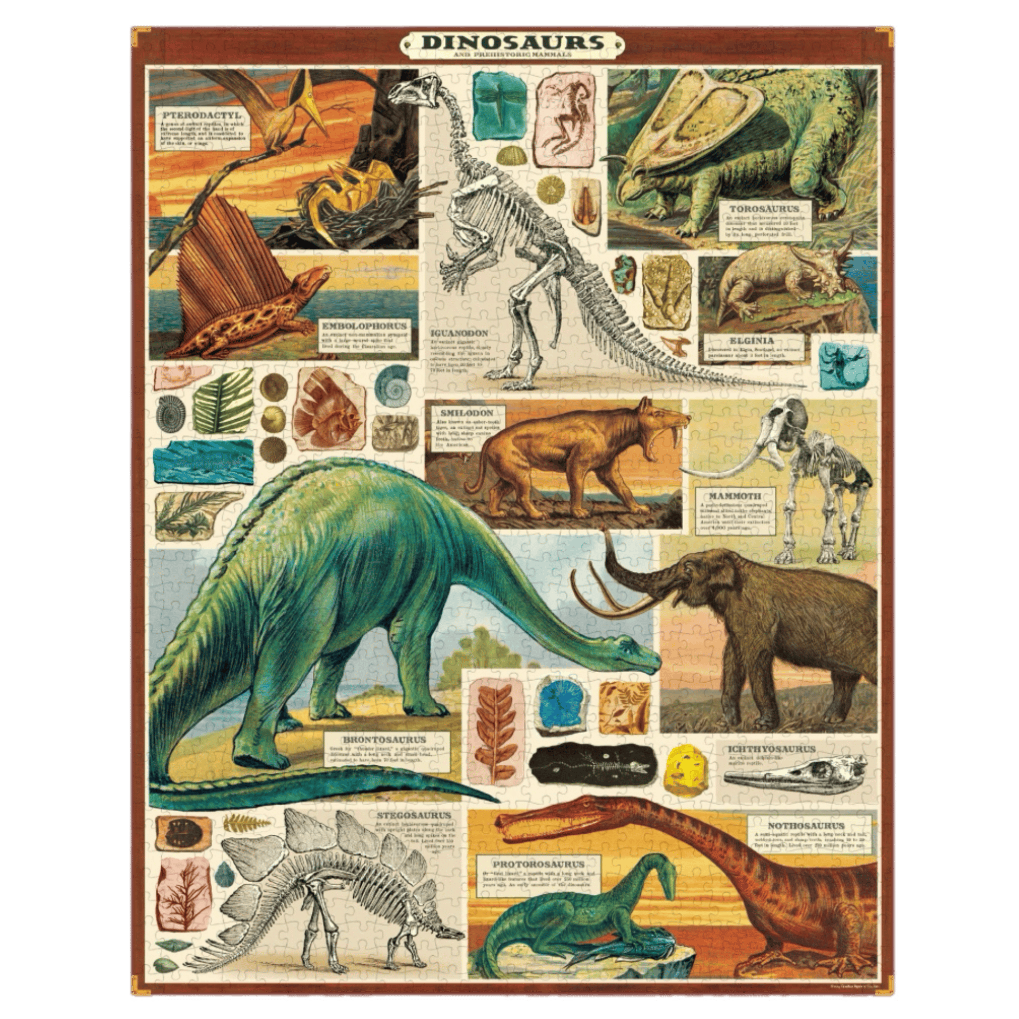 Cavallini & Co 12 Plus 1000 Pc Vintage Puzzle - Dinosaurs