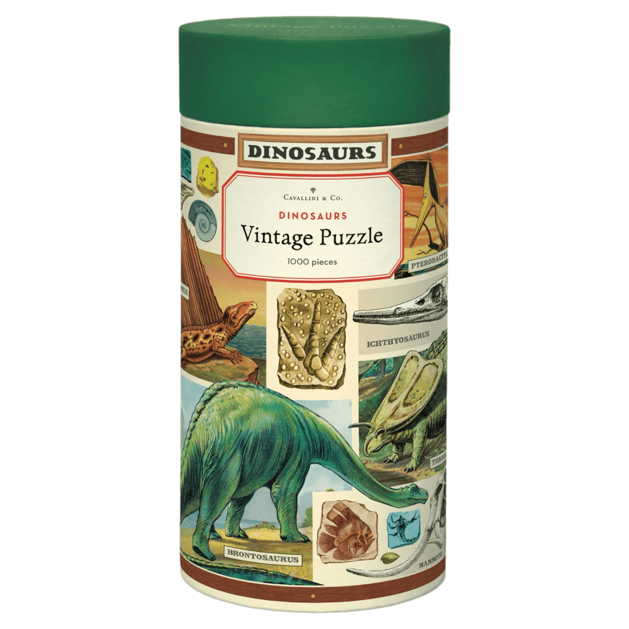 Cavallini & Co 12 Plus 1000 Pc Vintage Puzzle - Dinosaurs