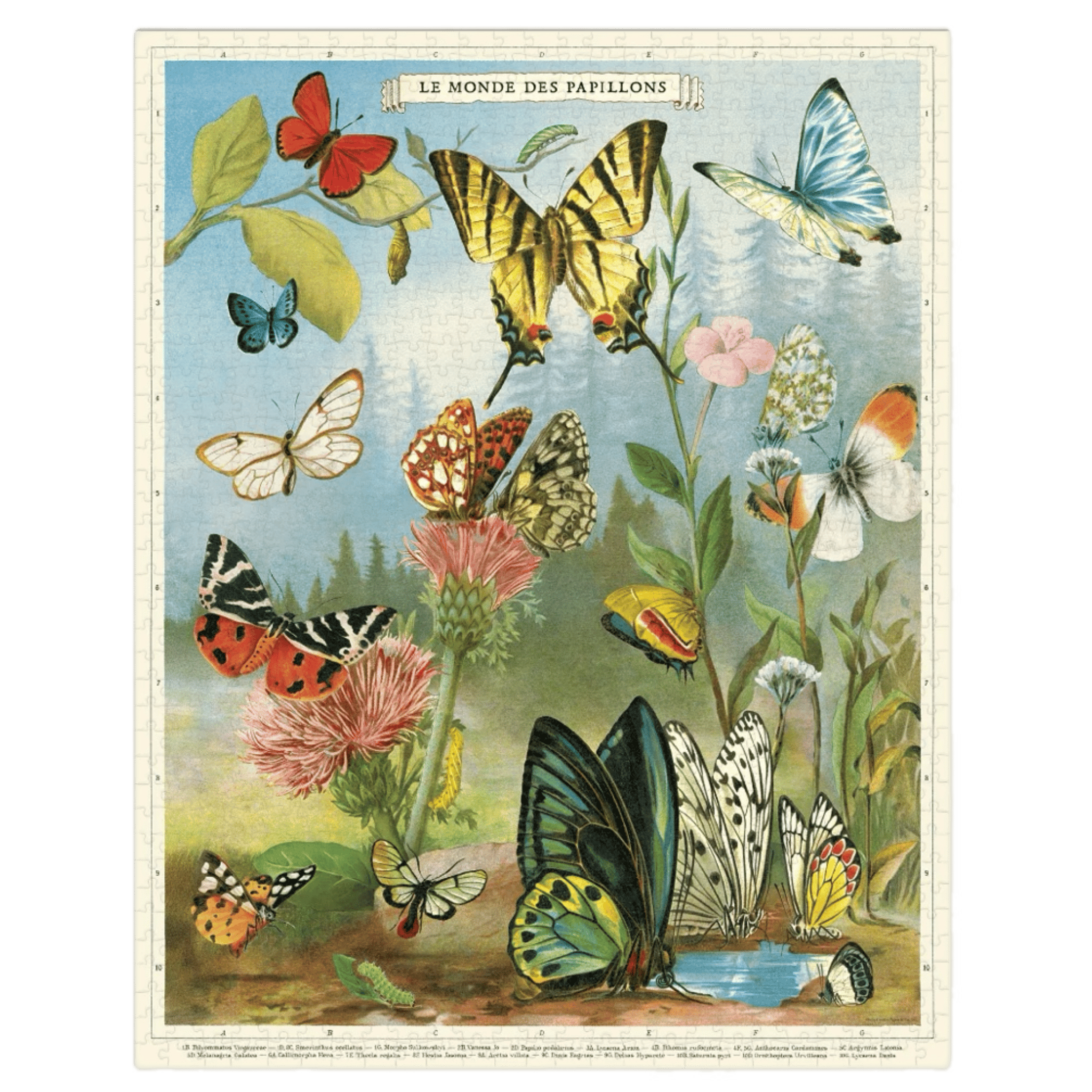 Cavallini & Co 12 Plus 1000 Pc Vintage Puzzle - World of Butterflies
