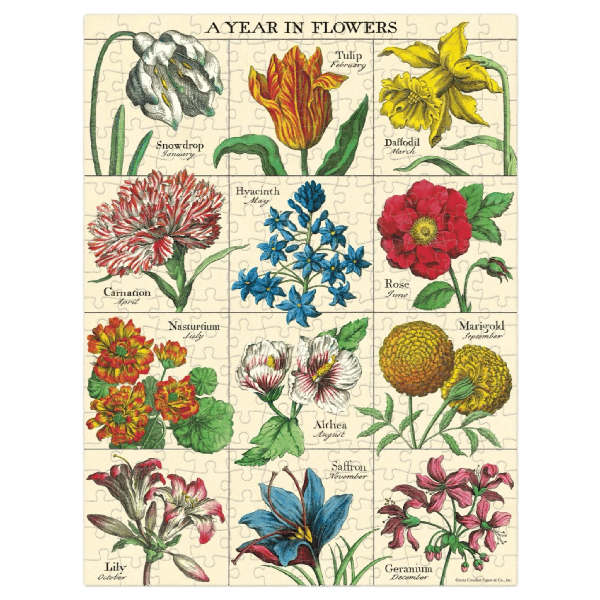 Cavallini & Co 8 Plus 240 Pc Mini Puzzle - A Year in Flowers