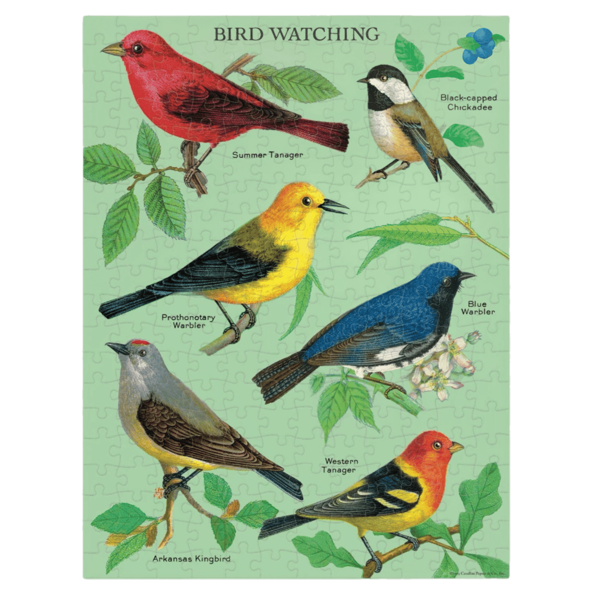 Cavallini & Co 8 Plus 240 Pc Mini Puzzle - Bird Watching