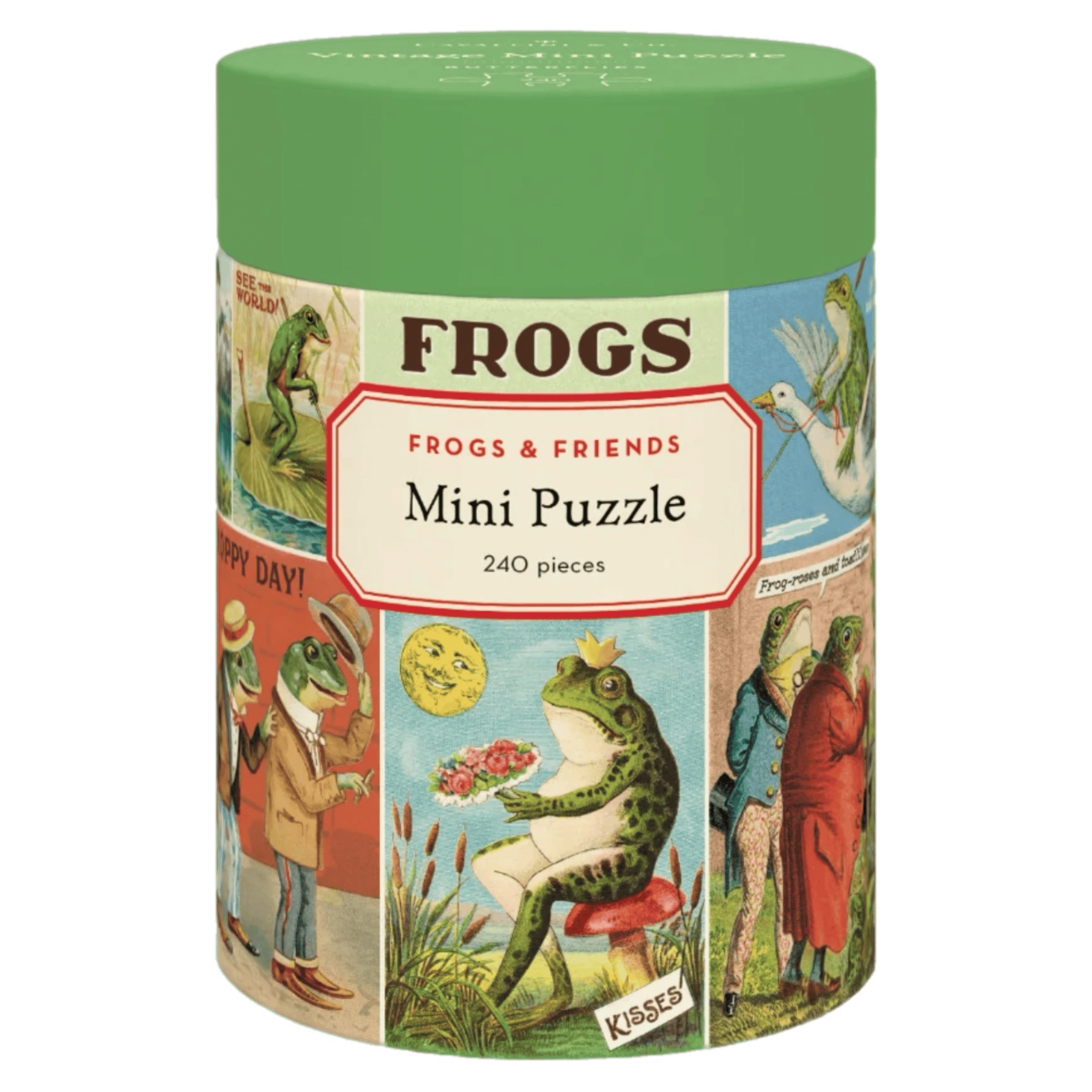Cavallini & Co 8 Plus 240 Pc Mini Puzzle - Frogs & Friends