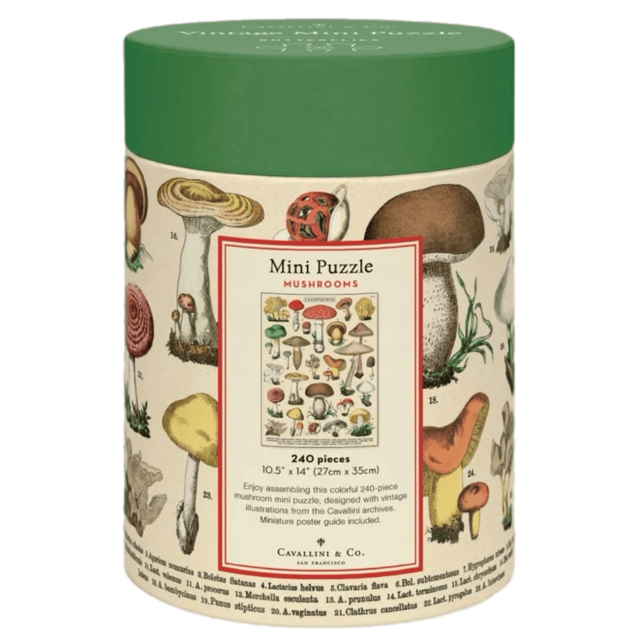 Cavallini & Co 8 Plus 240 Pc Mini Puzzle - Mushrooms