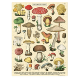 Cavallini & Co 8 Plus 240 Pc Mini Puzzle - Mushrooms