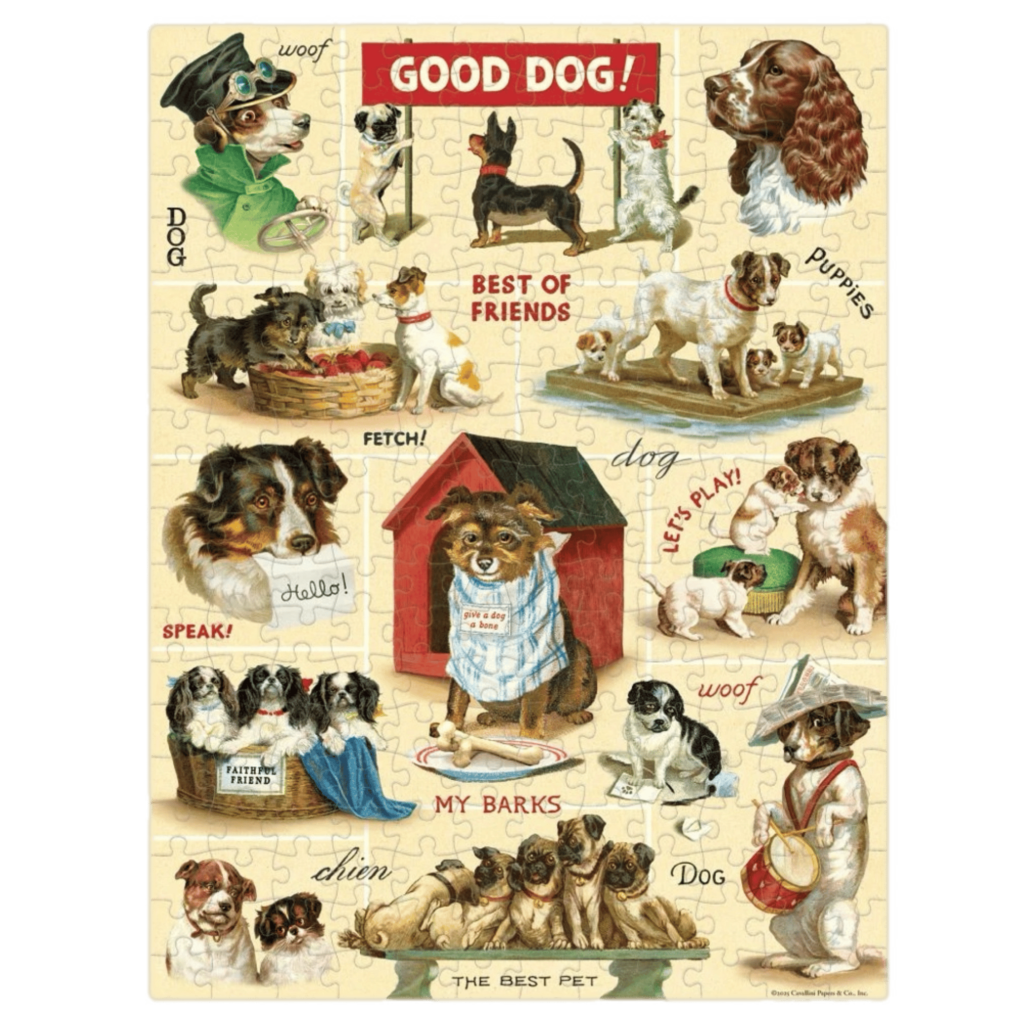 Cavallini & Co 8 Plus 240 Pc Mini Puzzle - Vintage Dogs
