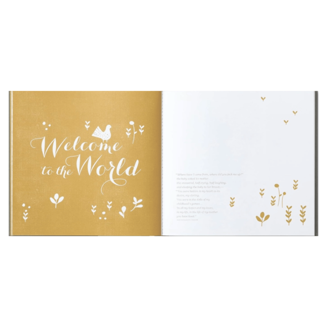 Compendium Newborn Welcome, Baby! - Aqua - Dan Zadra