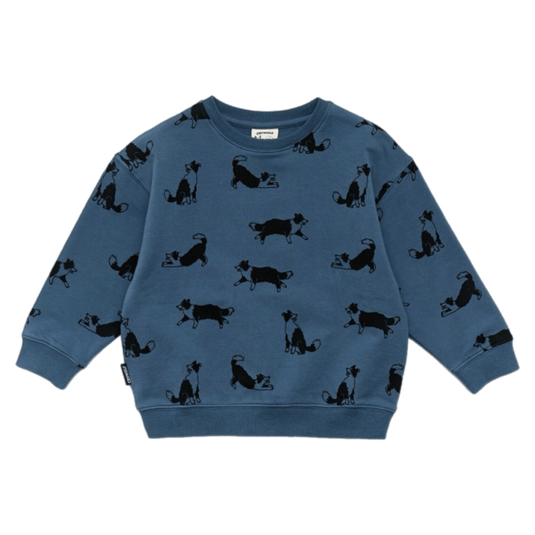 Crywolf 1 Year to 5 Years Chill Sweater - Collies