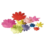 Djeco 5 Plus Aurelia Fronty Inspired by Frida Kahlo