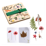 Djeco 5 Plus Do It Yourself - Budding Botanist Set
