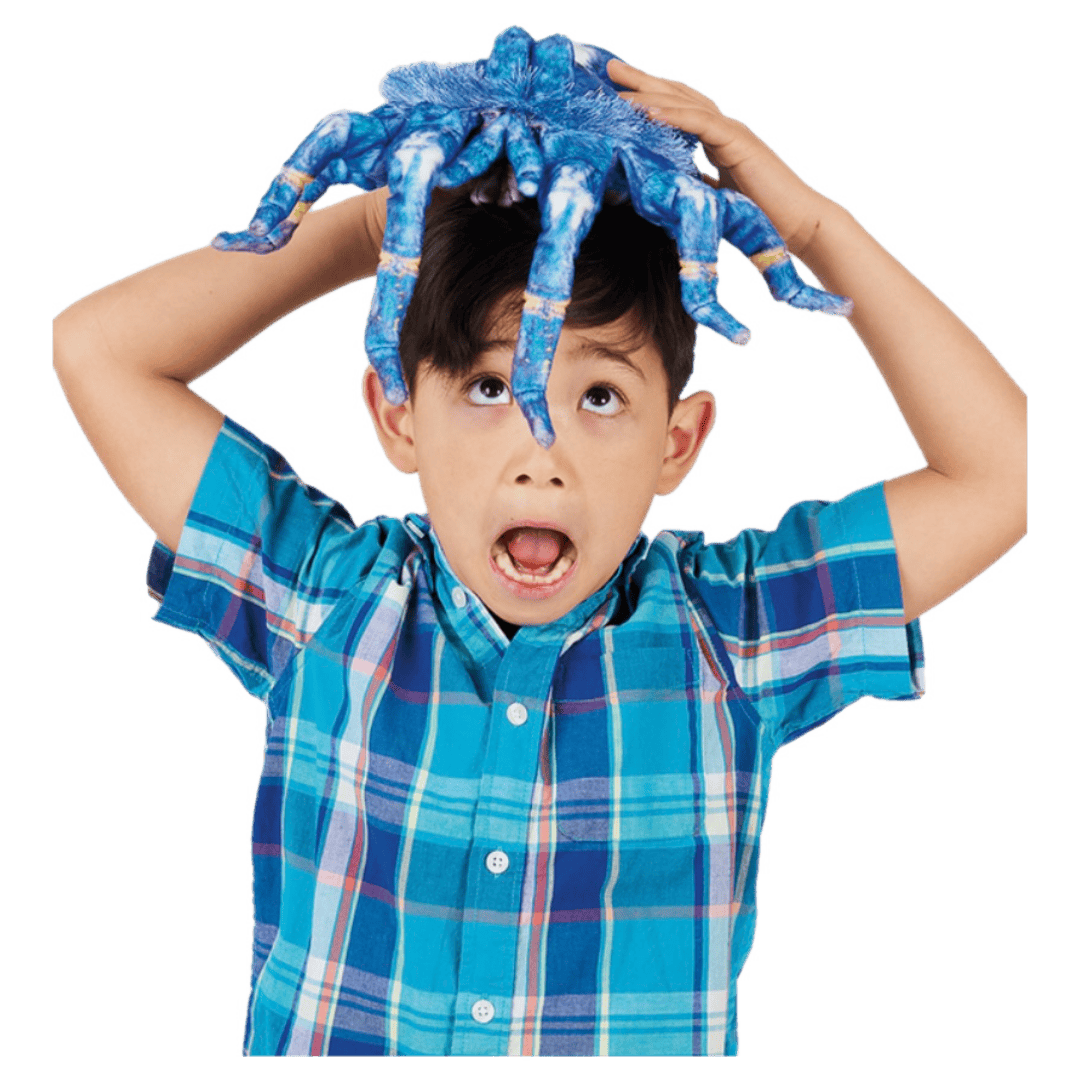 Folkmanis 3 Plus Hand Puppet - Blue Tarantula