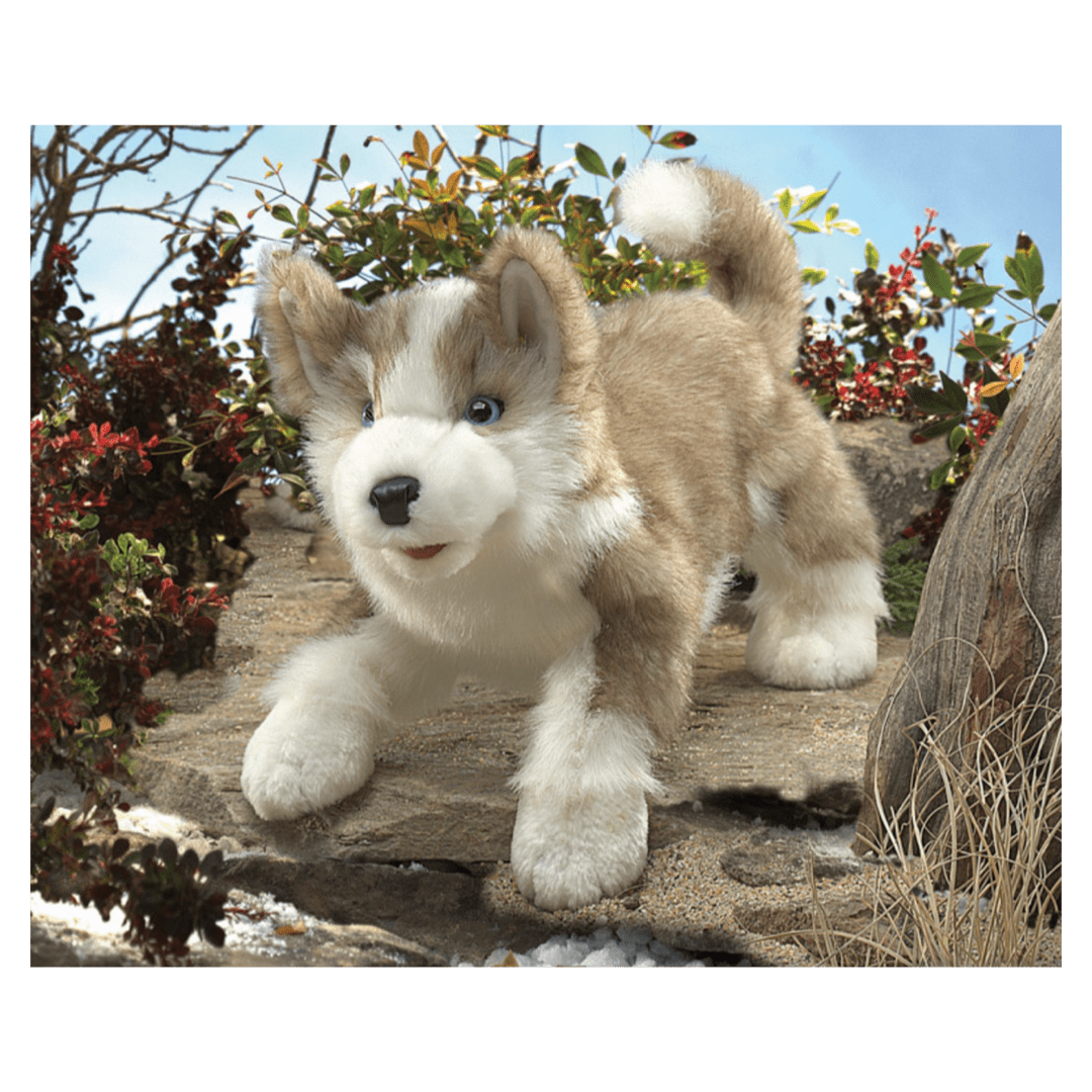 Folkmanis 3 Plus Hand Puppet - Wolf Pup