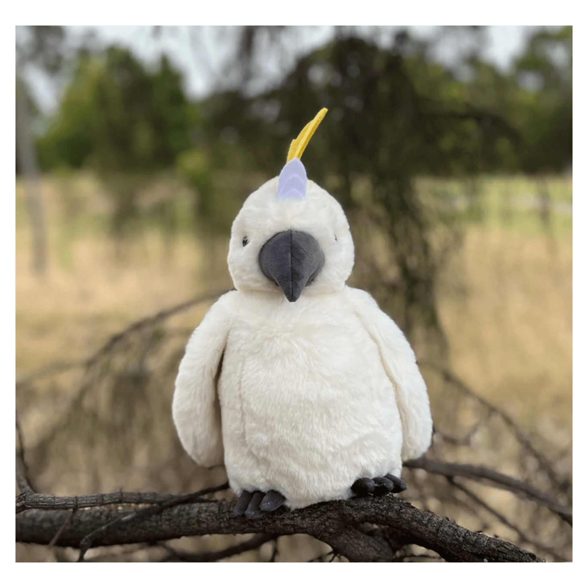 Furfolk Birth Plus Furfolk - Cockatoo