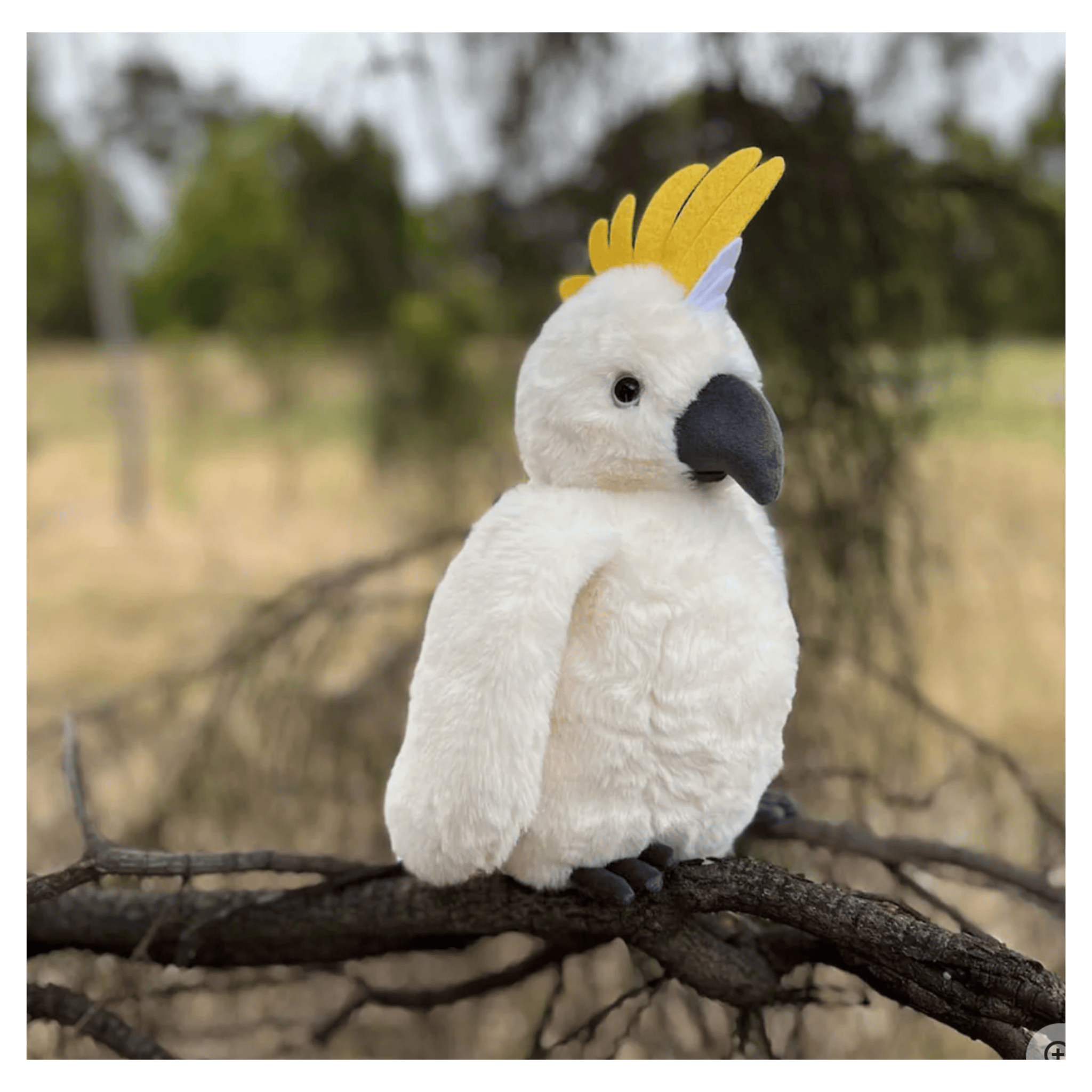 Furfolk Birth Plus Furfolk - Cockatoo